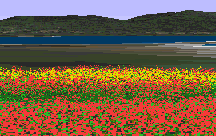 �����ԉ�