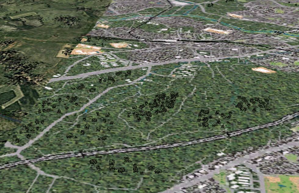 ���Óc�̉�